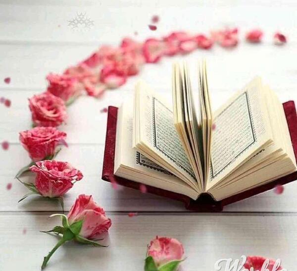 عکس برای کلیپ جشن قران