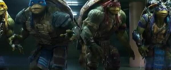 عکس واقعی لاک پشت های نینجا