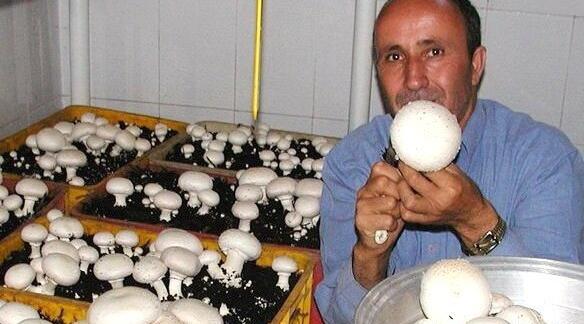 عکس ایده های پولساز در خانه