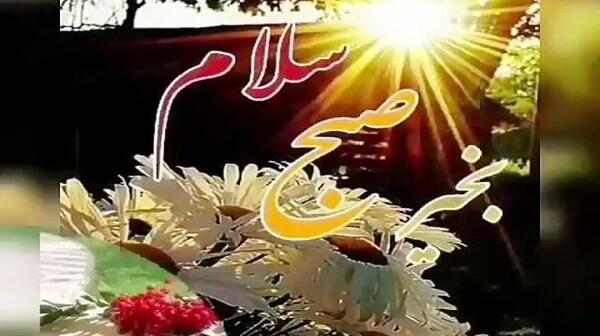 عکس برای وضعیت واتساپ صبح بخیر