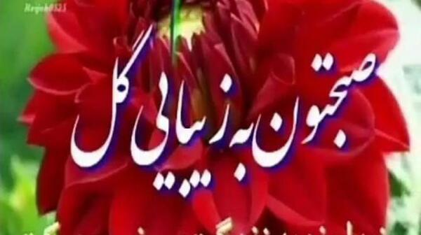 عکس برای وضعیت واتساپ صبح بخیر