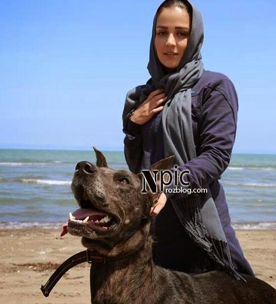 عکس سگ افسانه پاکرو