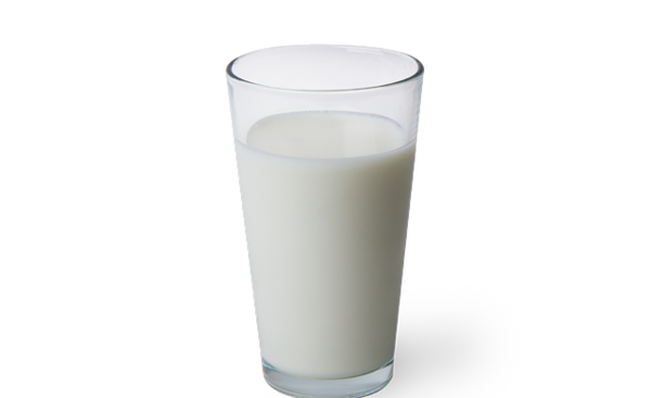 عکس شیر png