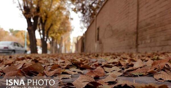 عکس پاییز یزد
