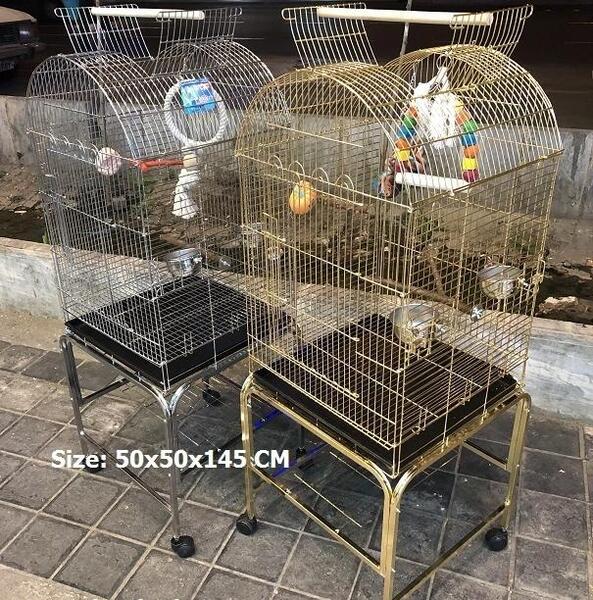 عکس قفس ایستاده