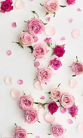 عکس پس زمینه دخترانه صورتی