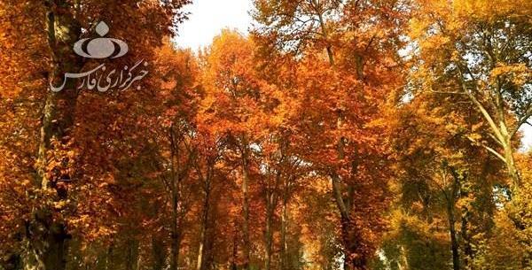 عکس های زیبا ی فصل پاییز