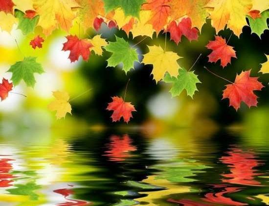 عکس پاییزی زیبا و عاشقانه
