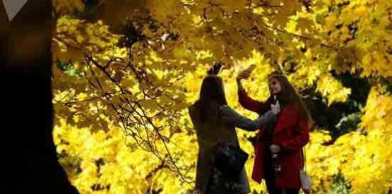 عکس زیبا از فصل پاییز