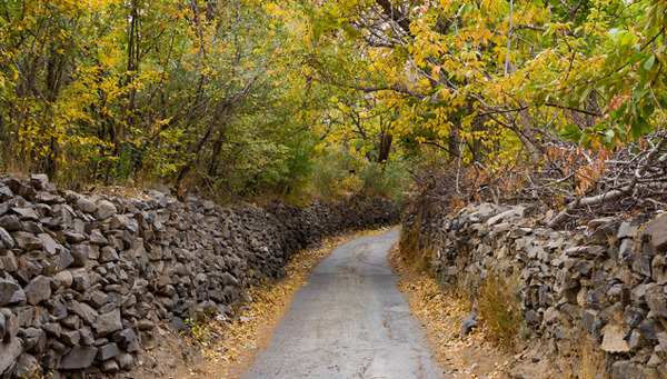 عکس پاییز همدان