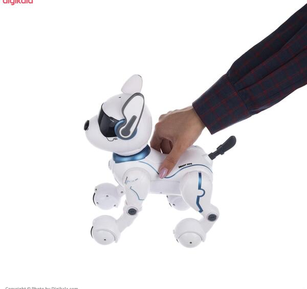عکس جین شینگ