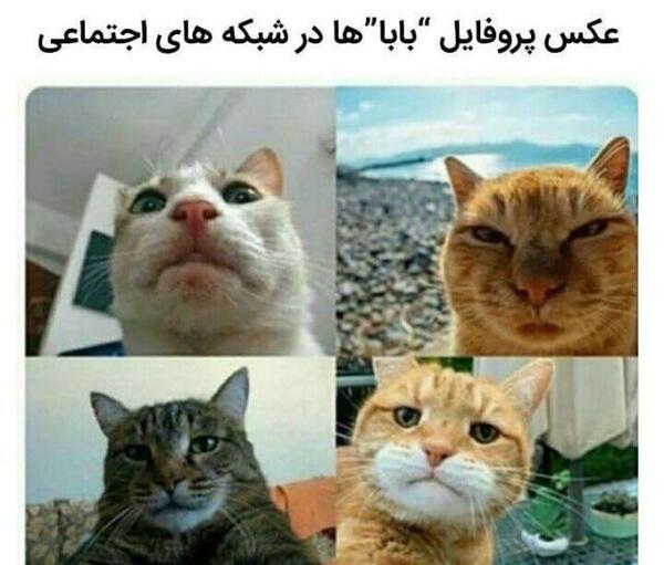 عکس اینستاگرام خنده دار