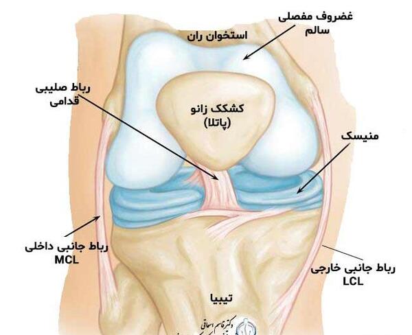 عکس ایستادن آناتومیکی