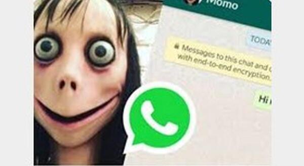 عکس مومو ج