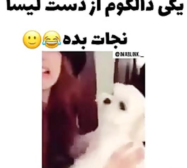 عکس سگ لیسا بلک پینک
