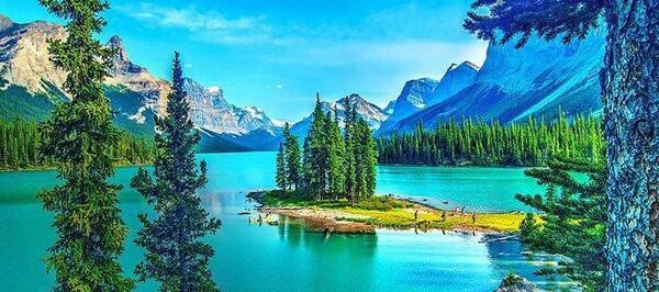 عکس پس زمینه جنگل