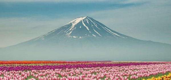 عکس از طبیعت زیبای بهاری