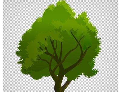 عکس png درخت