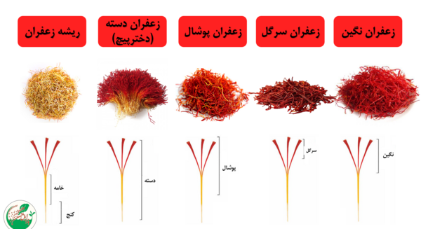 عکس زعفران قیمت