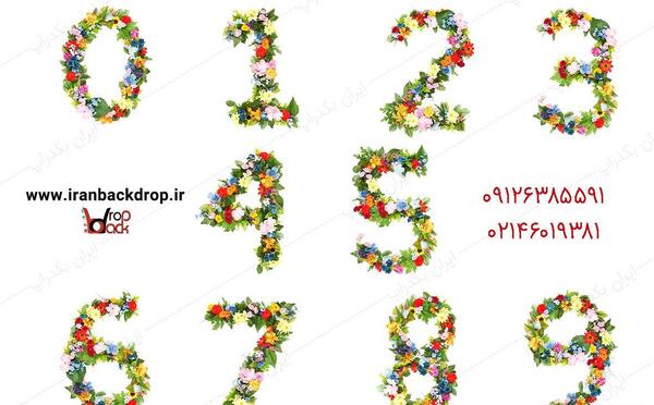 عکس لایه باز ماهگرد نوزاد