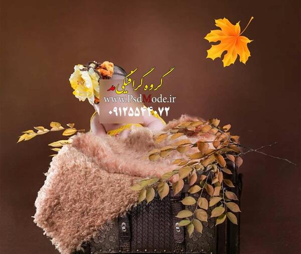 عکس لایه باز ماهگرد نوزاد