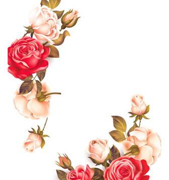 عکس دانلود وکتور حاشیه گل