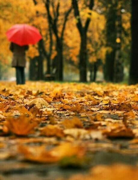 عکس پروفایل نیمکت پاییزی