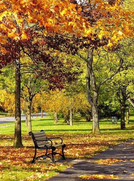 عکس پروفایل نیمکت پاییزی