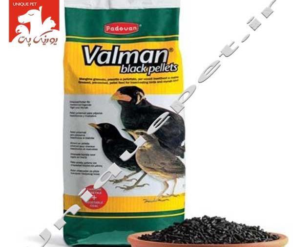 عکس پلت غذای مینا
