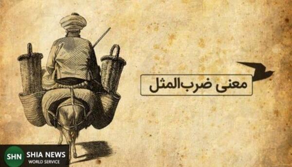 عکس سر شاخه نشسته و بیخش را میبری