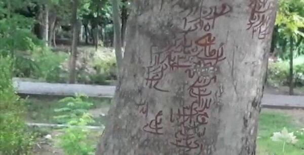 عکس طلسم وحشتناک