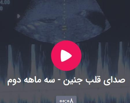 عکس جنین نشسته