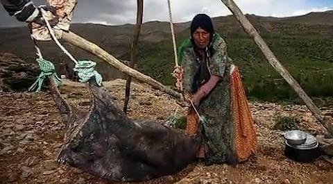 عکس مادر قشقایی