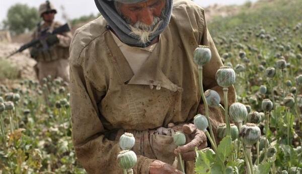 عکس سردار جمعه خان براهویی