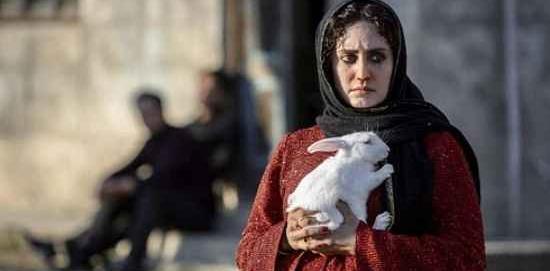 عکس غمگین الناز شاکردوست