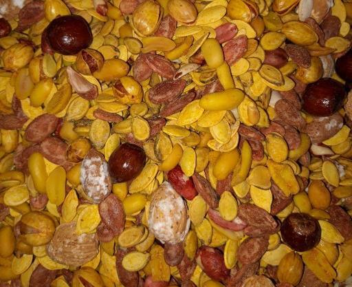 عکس مخلوط لوتی صفحه ۴۰۰