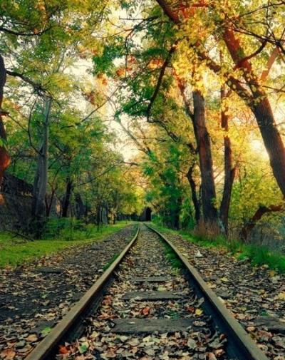 عکس پس زمینه های خاص