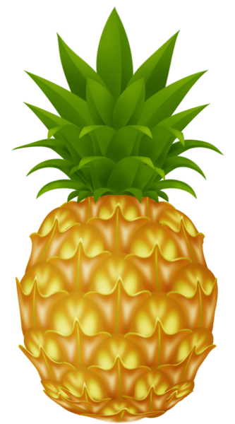 عکس png آناناس