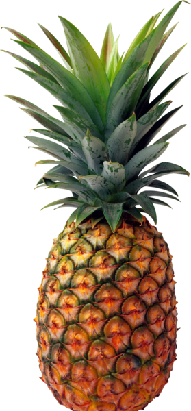 عکس png آناناس