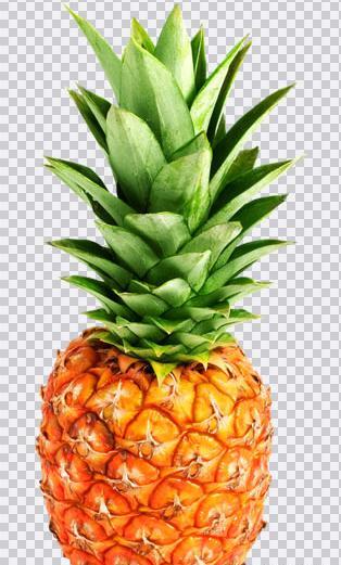 عکس png آناناس