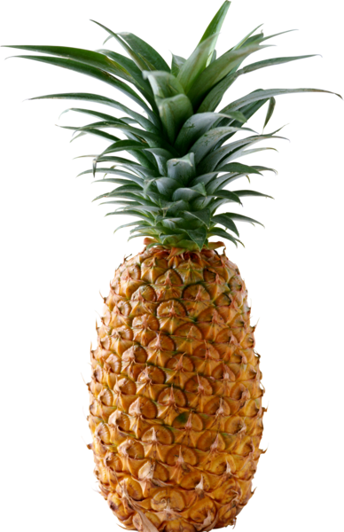 عکس png آناناس
