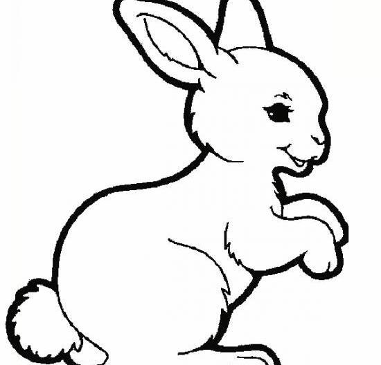عکس نقاشی خرگوش کودکانه