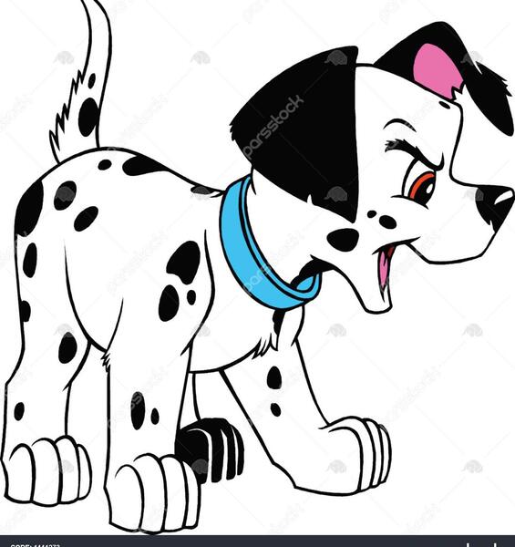 عکس سگ عصبانی