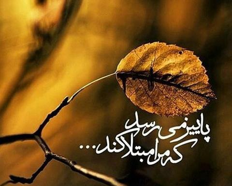 عکس پاییز دلتنگی