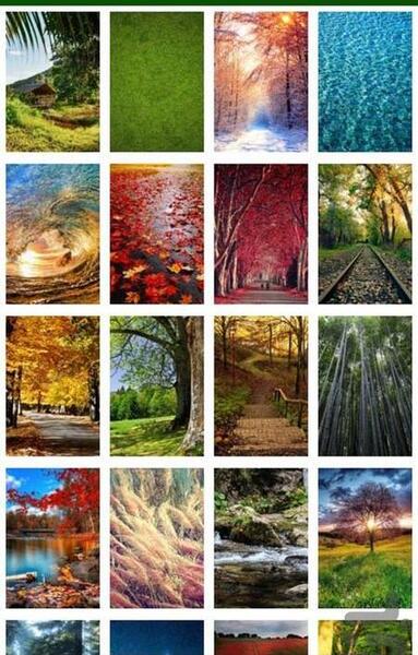 عکس پس زمینه طبیعت سبز
