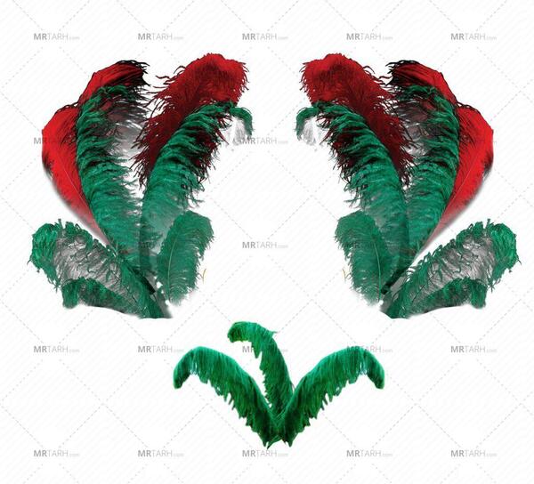 عکس لایه باز پر