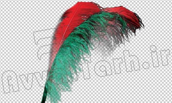 عکس لایه باز پر