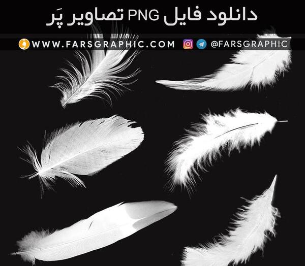عکس لایه باز پر
