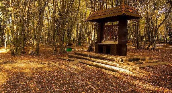 عکس پاییز گرگان