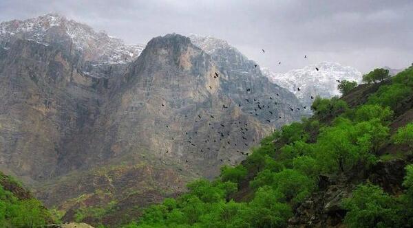 عکس طبیعت شهرکرد